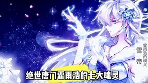 绝世唐门霍雨浩的七大魂灵