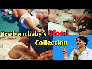 Newborn Baby's Blood Collection From Leg vein with English Subtitles| Baby's Blood Collection |