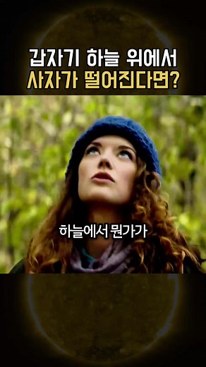 아기 사자와 늑대, 섬에서의 특별한 우정