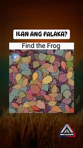 1.1M views · 2.4K reactions | 90% Fail this test. #trend #shorts #riddle #logic #logicpro #puzzle #trending #trendingreels #trendingnow #trendingvideo #trendingpost #viralreels #shortsvideos #fbreelsvideo #viralreelsfb #reelsviral #kasabihan #facebookreels #fypシ #brotheralgene | Brother Algene | Facebook