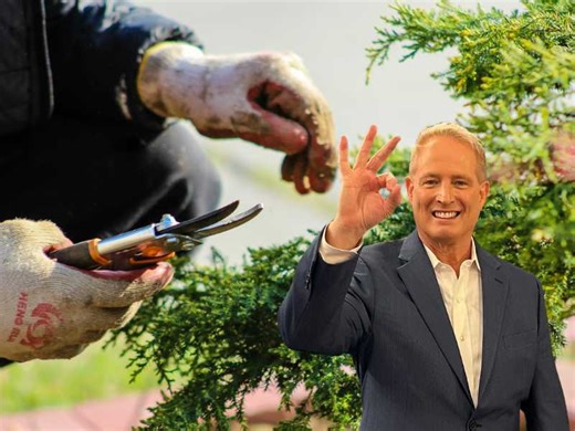 Play my Memory Game: Gardening - CyberGuy