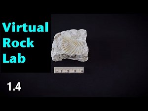Virtual Rock Identification Lab | Sample 1.4