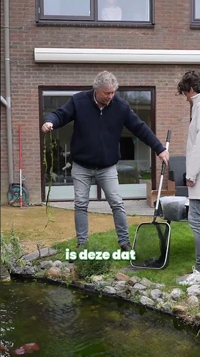 Wist je dat munt helpt tegen algen in je vijver Én het groeit als een gek.