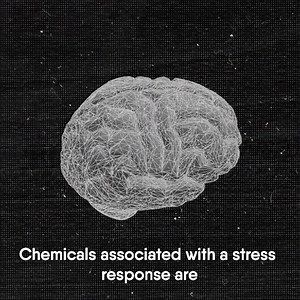 449K views · 1K reactions | Interesting! This is why some people actually enjoy being scared  | LEGO | Facebook