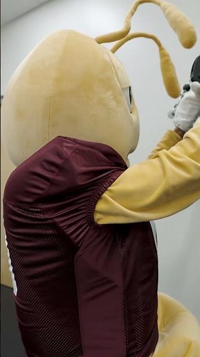 Terminix Service, Inc. | The Pests are getting Stronger