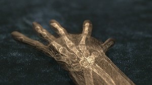 The Human Hand: A Gift from Ancient Primates | Your Inner Fish