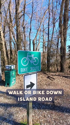 Backroad Weekly on Instagram: "Day Tripping at Horseshoe Lake, Alexander County, Southern Illinois. About 30 minutes from Cape. A big winter win, especially if you like slow drives and winged wildlife. Here's the agenda: Scenic drive → birdwatching / photo stops → burgers → winter walk. Start with a Scenic Drive + Wildlife Spotting: With the leaves down in winter, you get the views of the lake and swamps. It’s still eagle season, my Backroad besties. Nests are everywhere at Horseshoe Lake, and b