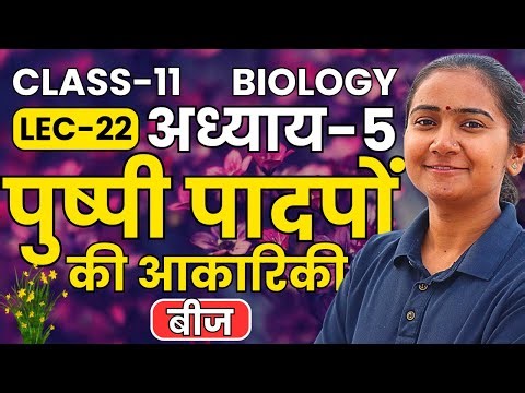L-22, बीज, अध्याय-5, पुष्पी पादपों की आकारिकी | Class-11th Biology कक्षा-11 जीवविज्ञान
