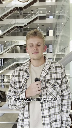 What are the different types of insurance ? 🤔🍍 Let's find out 🙂‍↕️ #PineappleSA #CarInsurance #HomeContents #Insurance