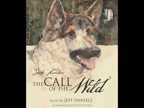 Call of the Wild - Jack London