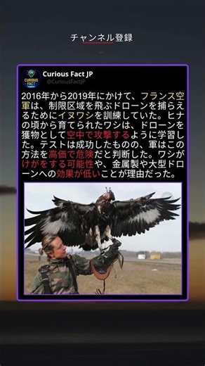 フランスのイヌワシ、ドローンを追う