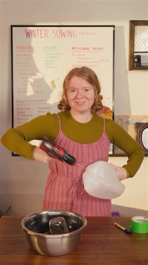 Grace Gunk on Instagram: "It’s that time of the year when all I can think about is my garden! 🌱 One of my favorite ways to start seeds is through winter sowing in milk jugs. It’s a cost effective, easy and low maintenance way to grow resilient seedlings that will be ready by the time the last frost has frosted! You will also need seeds, I was just so excited I forgot to say SEEDS! 🫠 I made a PDF guide all about winter sowing for you, comment “WINTER” below, and I’ll send the guide straight to