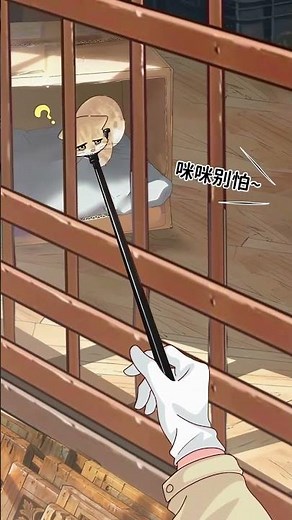 This method of catching cats is a bit suffocating. Cats, stray cats, light comic plan, recording