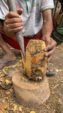 Bamboo Root Turned Into an Amazing Handmade Drinking Glass | Creative Bamboo Craft #bamboocraft