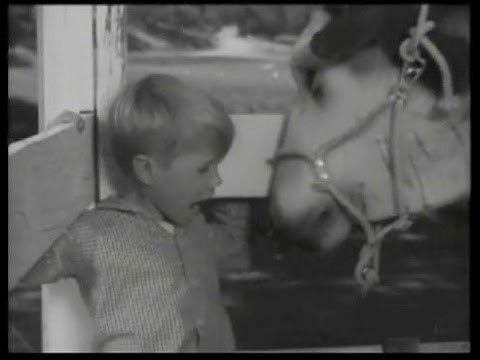 Lassie - Episode #235 - "The White Faced Bull" - Season 7 Ep. 16 - 01/01/1961