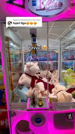 Who can resist these cute pig plushies? 😍🐽🐷 #clawmachine #clawmachinewin #arcade #arcadehacks #clawmachinehack #theclawninja | The Claw Ninja