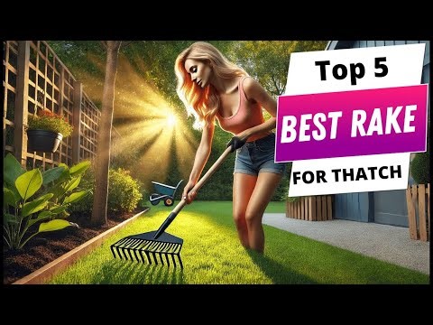 ✅ Best rake for thatch Rake for thatch (Buying Guide)