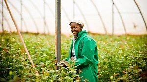 在英国学习农业及相关科学 | Study UK