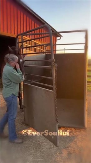 Happy Horse Being Home Again with His Human Mom 💖