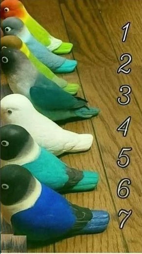 ALL TOGETHER NOW,, BEATLES