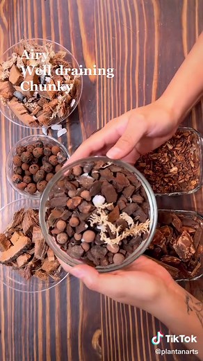 TikTok - Make Your Day