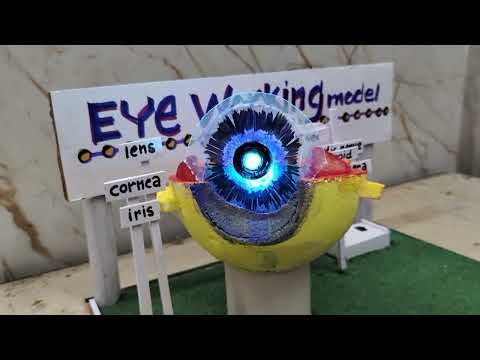 EYE working model/ science working model Science project