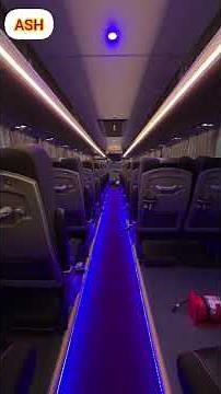 Book Brand New 43 Seater Bharat Benz Bus On Rent In Delhi, Gurugram & Noida For Outstation tour