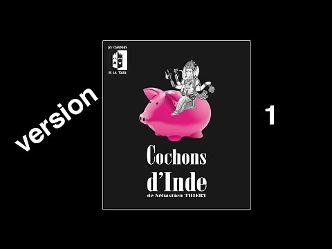 Cochon d'Inde de Sébastien Thiéry