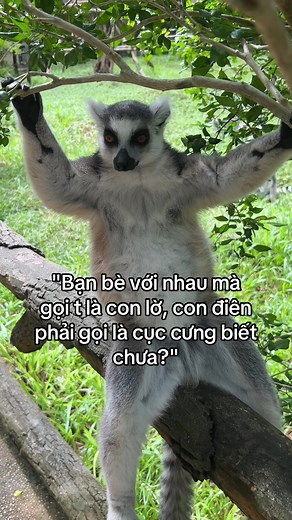 Cách Gọi Tên Bạn Bè Đặc Biệt: Cục Cưng