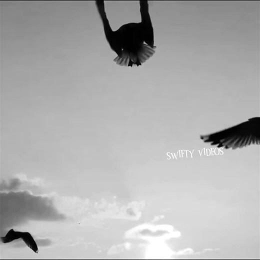 Creative Mashup Video Concepts