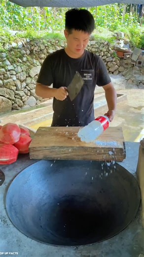 Pop Up Facts ⚡ on Instagram: "Make animals memorial day #reels"