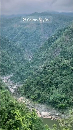 Cairns is one of the greenest, most tropical, and most forest-like place to visit.