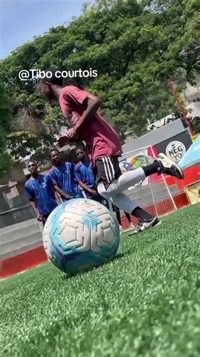 Tibo Courtois Haitian TikTok Creator Profile