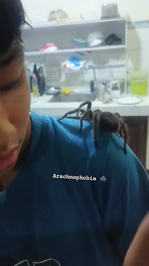 Arachnophobia 🕷🕷🕷 | Allan Bacareza Sadomia