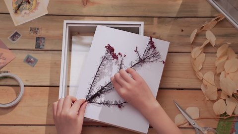 Tuanse 6 Pieces Shadow Box Picture Frame Square Shadow Boxes Display Cases for Sports Memorabilia Wedding Memories Crafts Pins Awards Medals Tickets and Photos(White,5 x 7 Inch)