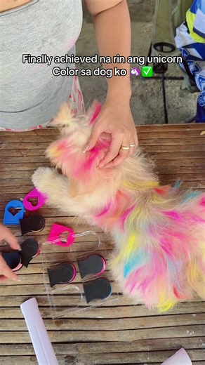 Washable Hair Color for You and Your Pets