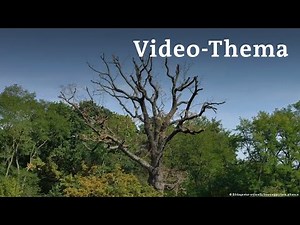 Deutsch lernen mit Videos | Wie grün ist Berlin? | mit deutschen Untertiteln