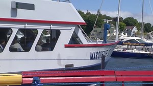 Mackinac Island city council votes to temporarily suspend Star Line ferry services