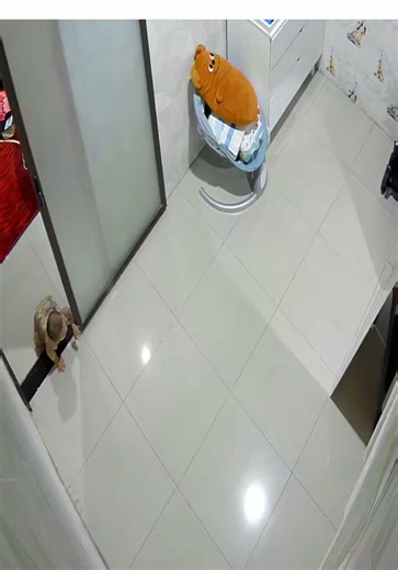 Iel Happy Dengan Bantal Busuknya yang Lucu