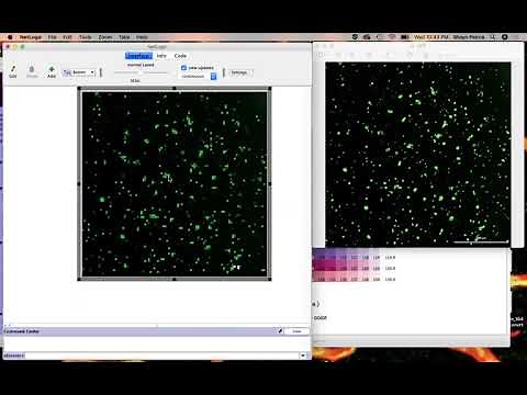 Netlogo Tutorial: creating a world based on a real image