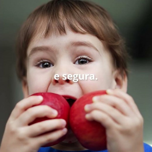 Dia Mundial da Alimentação 2024