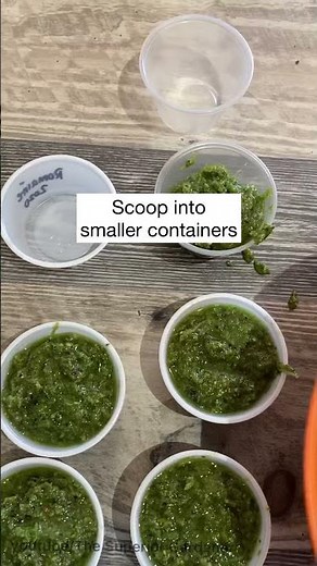 EASY Garlic Scape & Basil PESTO