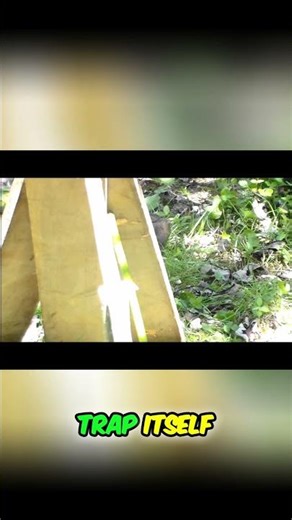 Classic Video: Deadfall Trap: Deadly Friction & Bait Stick Release EXPLAINED! #shorts