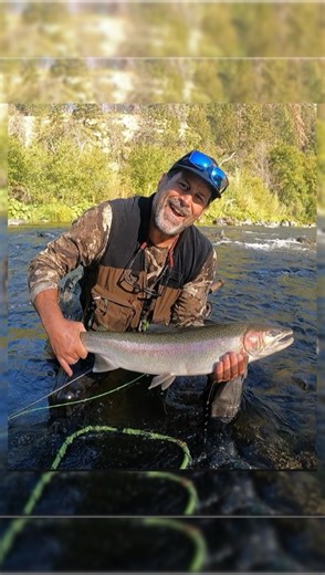 The Legend of Steelhead Stud Steve: Fish of the Year Edition - Last season I spent the final day of steelhead season fishing with a new friend we camped with that week. He ran out of tippet and asked me for some 3x. I told him “the way you’re fishing brother, you need something a little heavier.” - After 10 years of swinging for steelhead solo with single hand rods, his personal best fish on this river would be the first and only fish he had a photo of, landing it on a 3wt his first season fishi