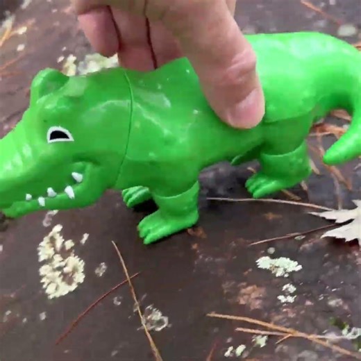 Crocodile Eating Fact! 🐊 They Can't Chew Their Food! Reptile Facts