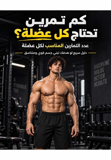 ‏بتحتاج كام تمرين لكل عضله لو هدفك بناء جسم قوي ورياضي | Bodybuilding Workout