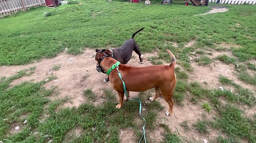 393K views · 4.6K reactions | Hercules has been with us for over a...