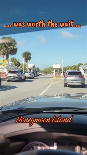 Beach Found! Honeymoon Island!