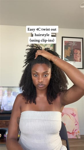 Easy 4C Twist Out Hairstyle with Clip-Ins