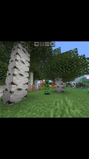 wither skeleton skul is easy to get 😱